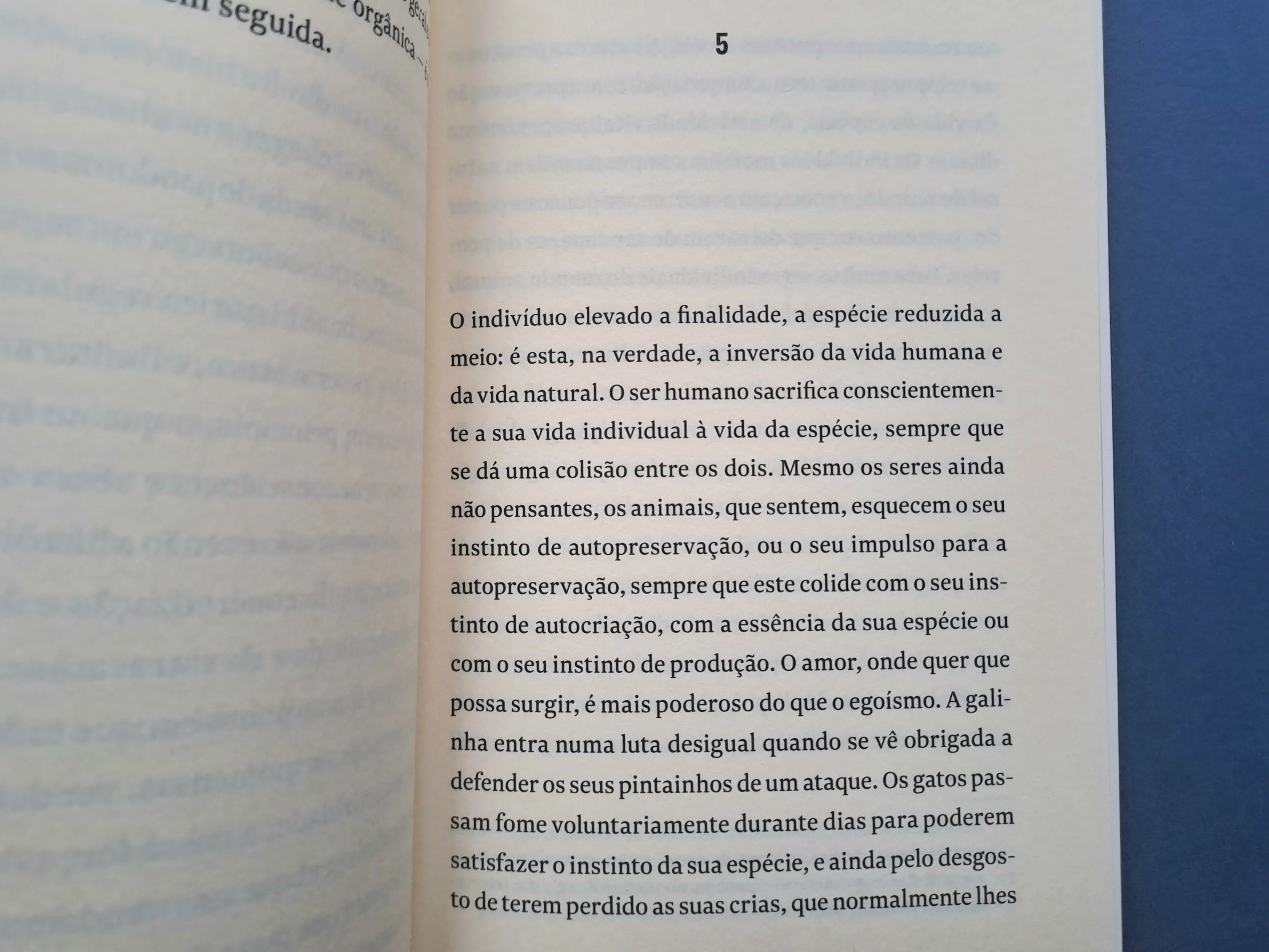Imagem do produto 5