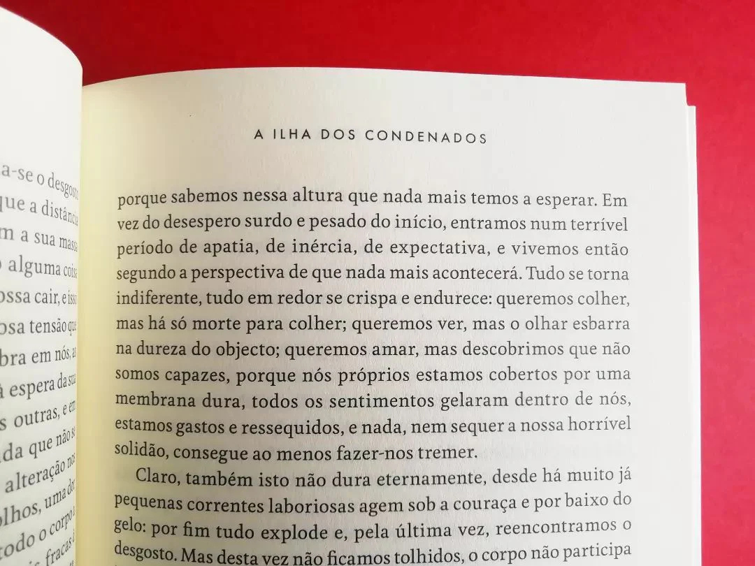 Imagem do produto 5
