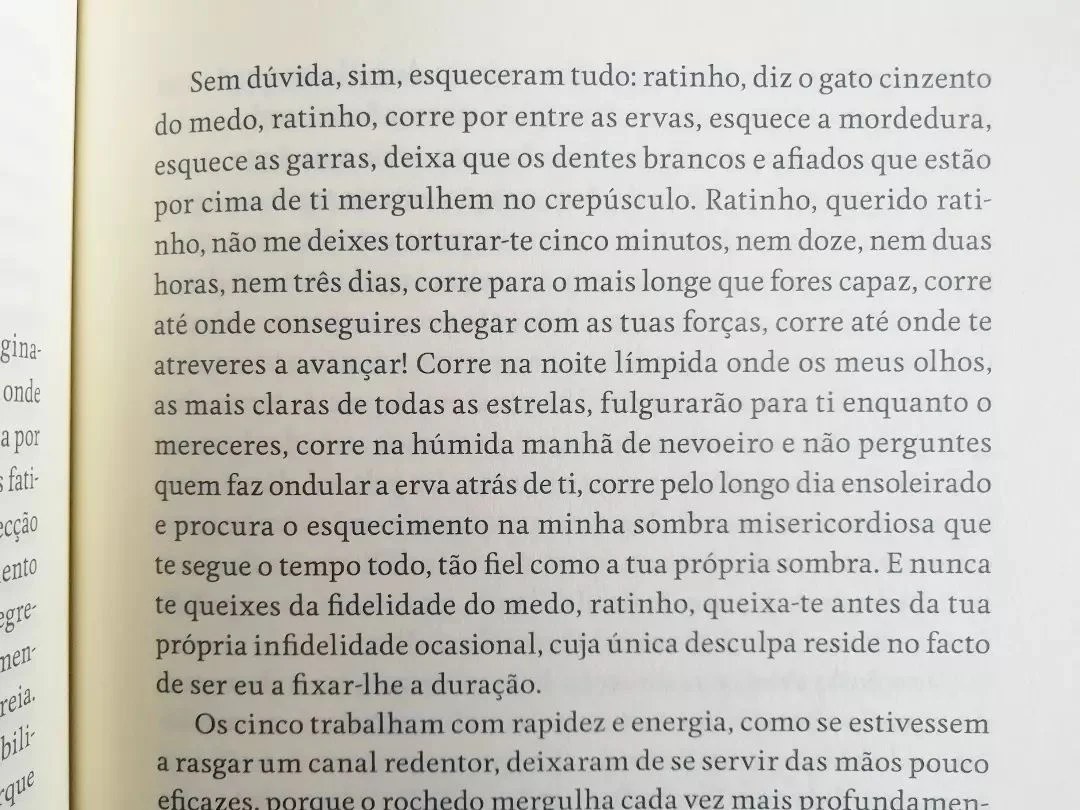 Imagem do produto 7