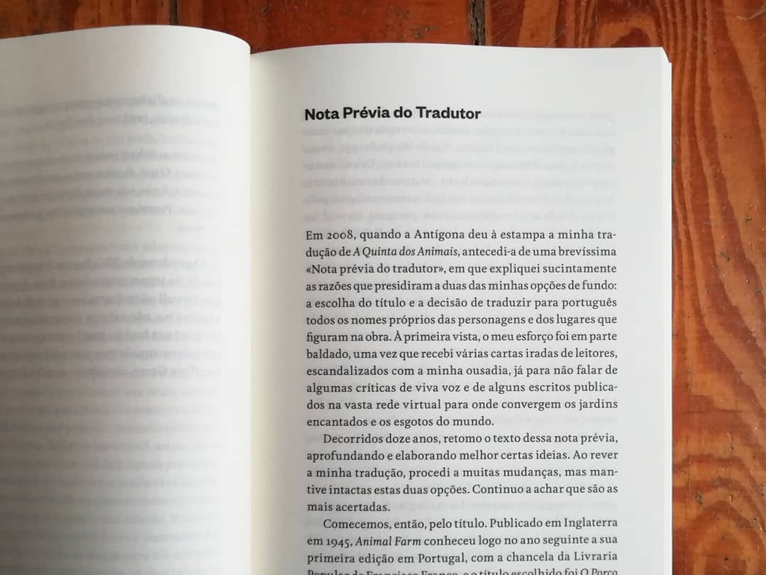 Imagem do produto 8