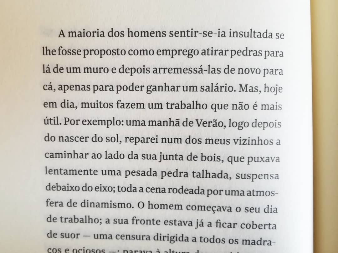 Imagem do produto 6