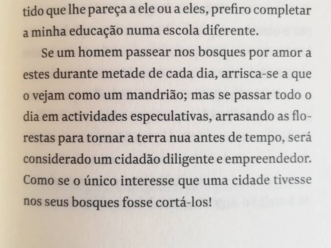 Imagem do produto 7