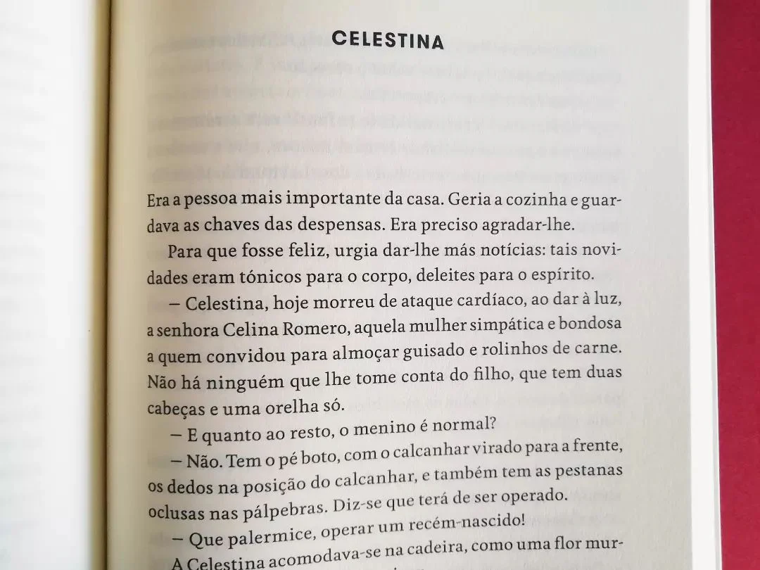 Imagem do produto 7
