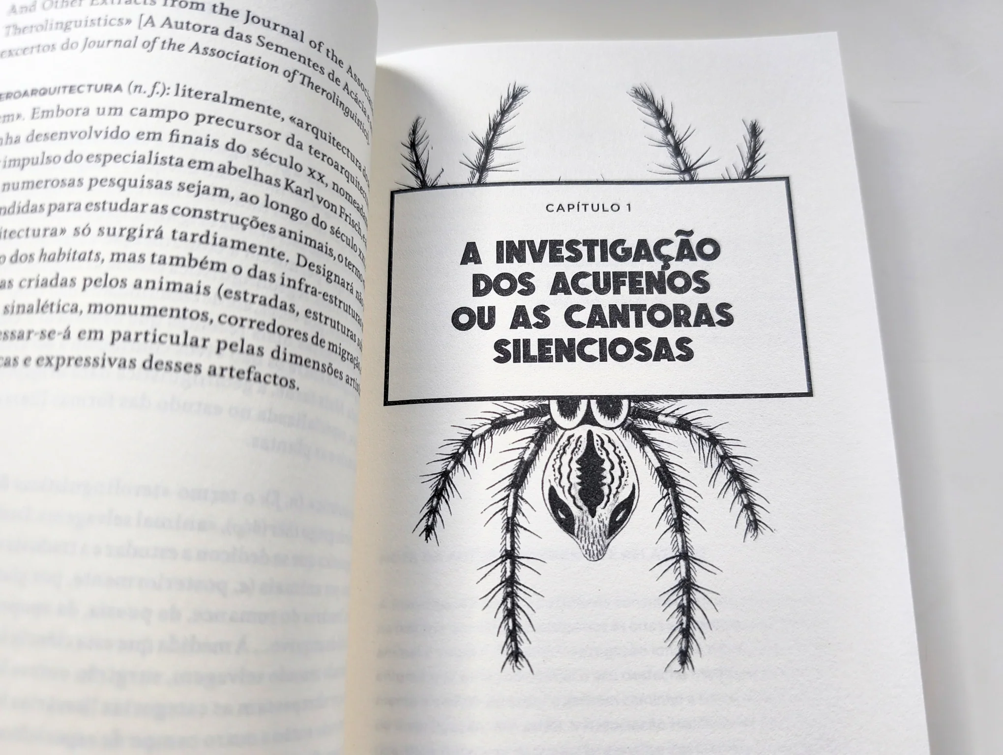 Imagem do produto 4