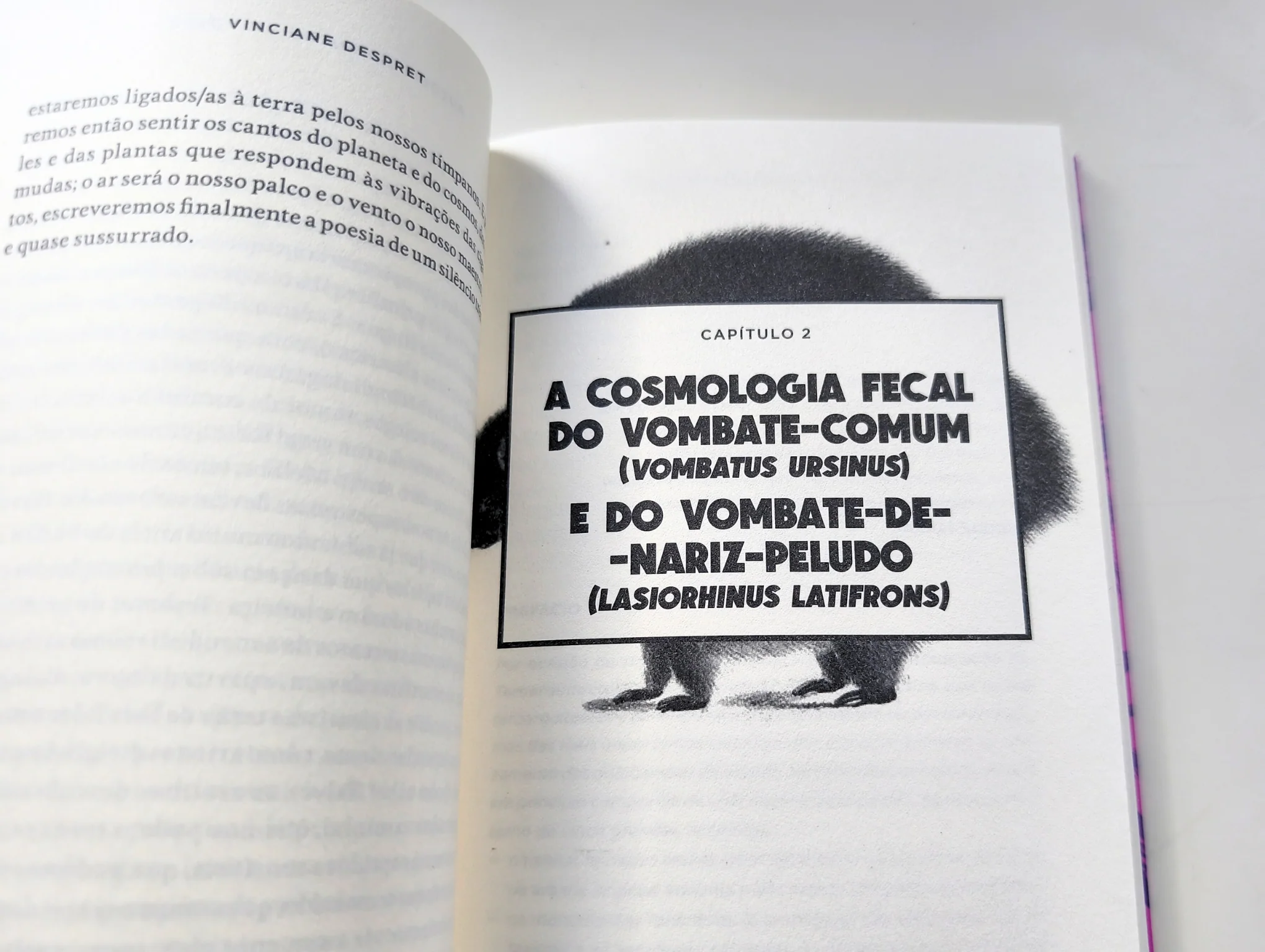Imagem do produto 5