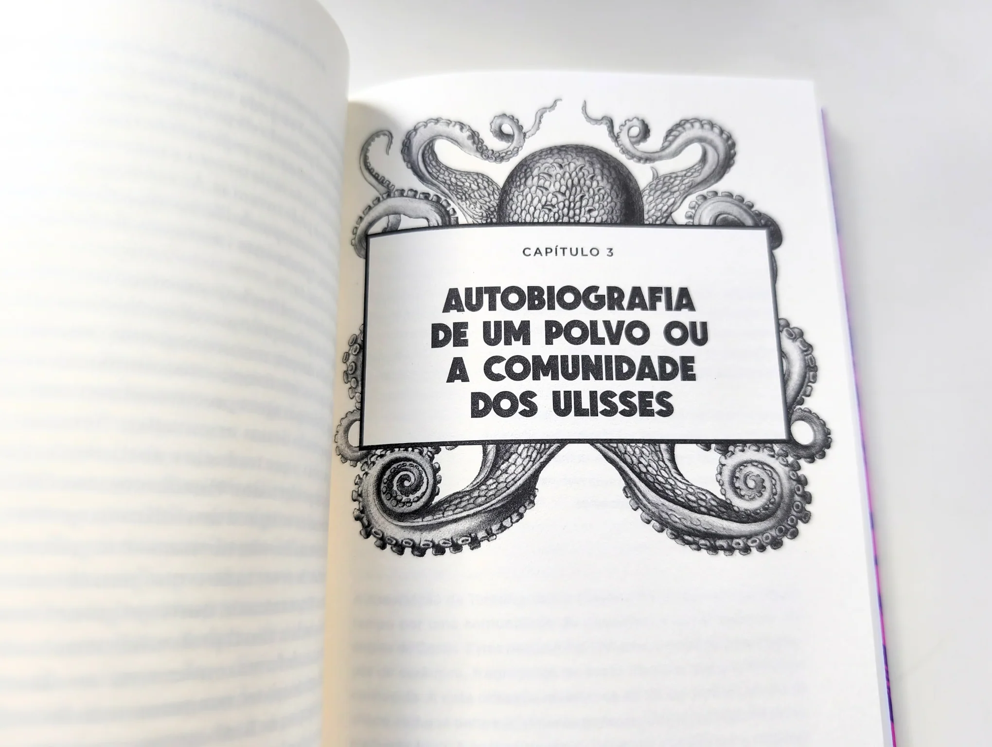 Imagem do produto 6
