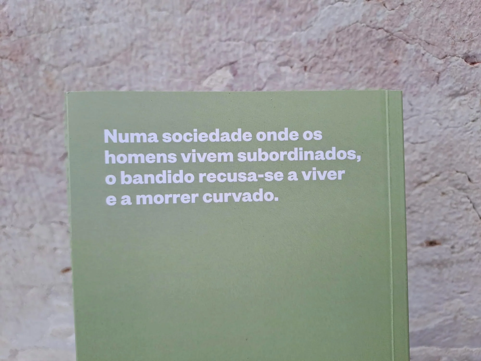 Imagem do produto 3