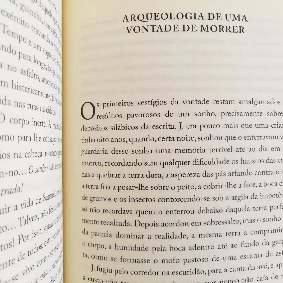 Imagem do produto 10