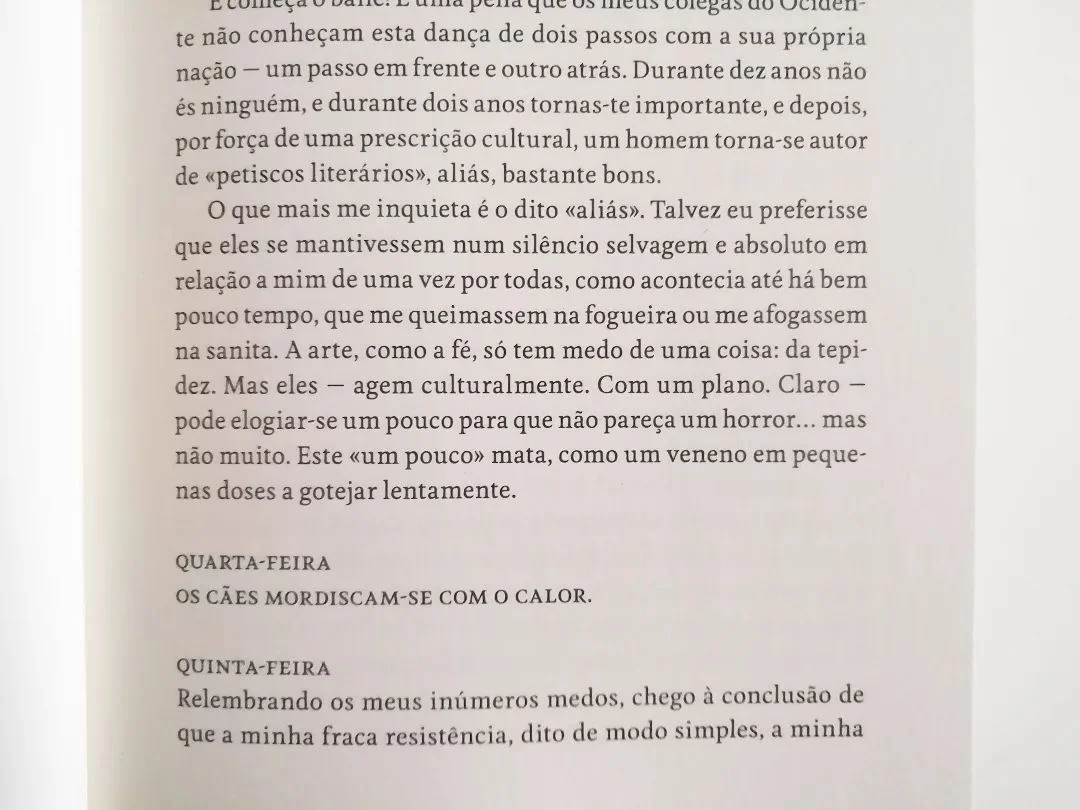 Imagem do produto 5