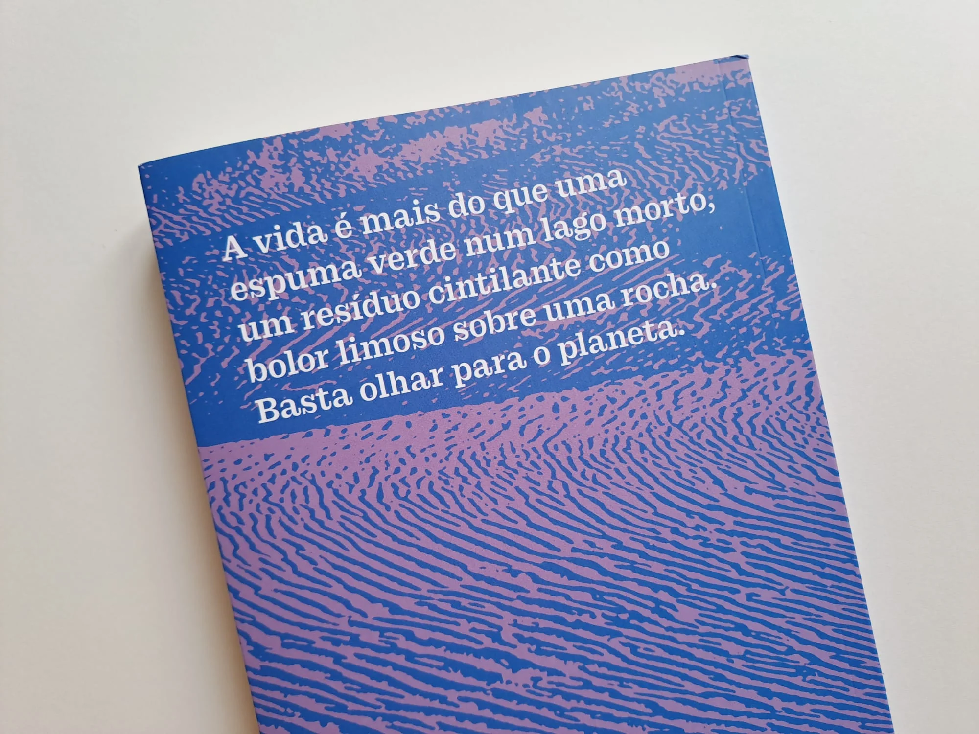 Imagem do produto 3