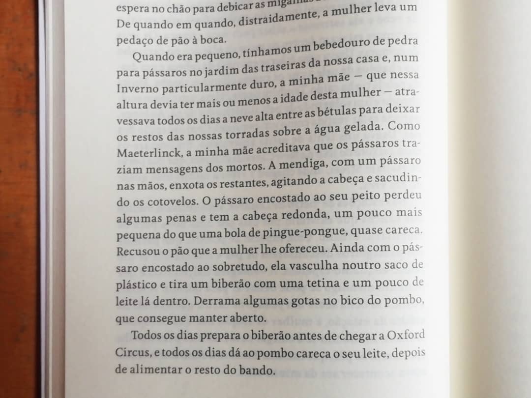 Imagem do produto 6