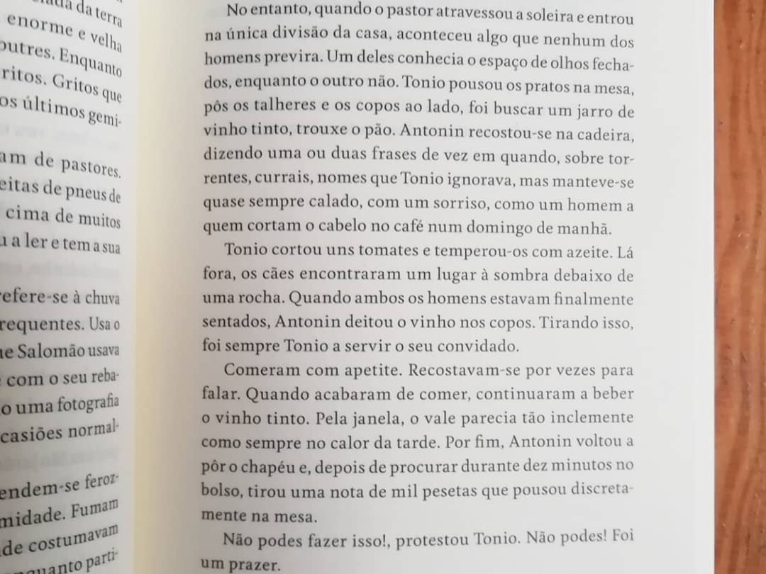 Imagem do produto 7