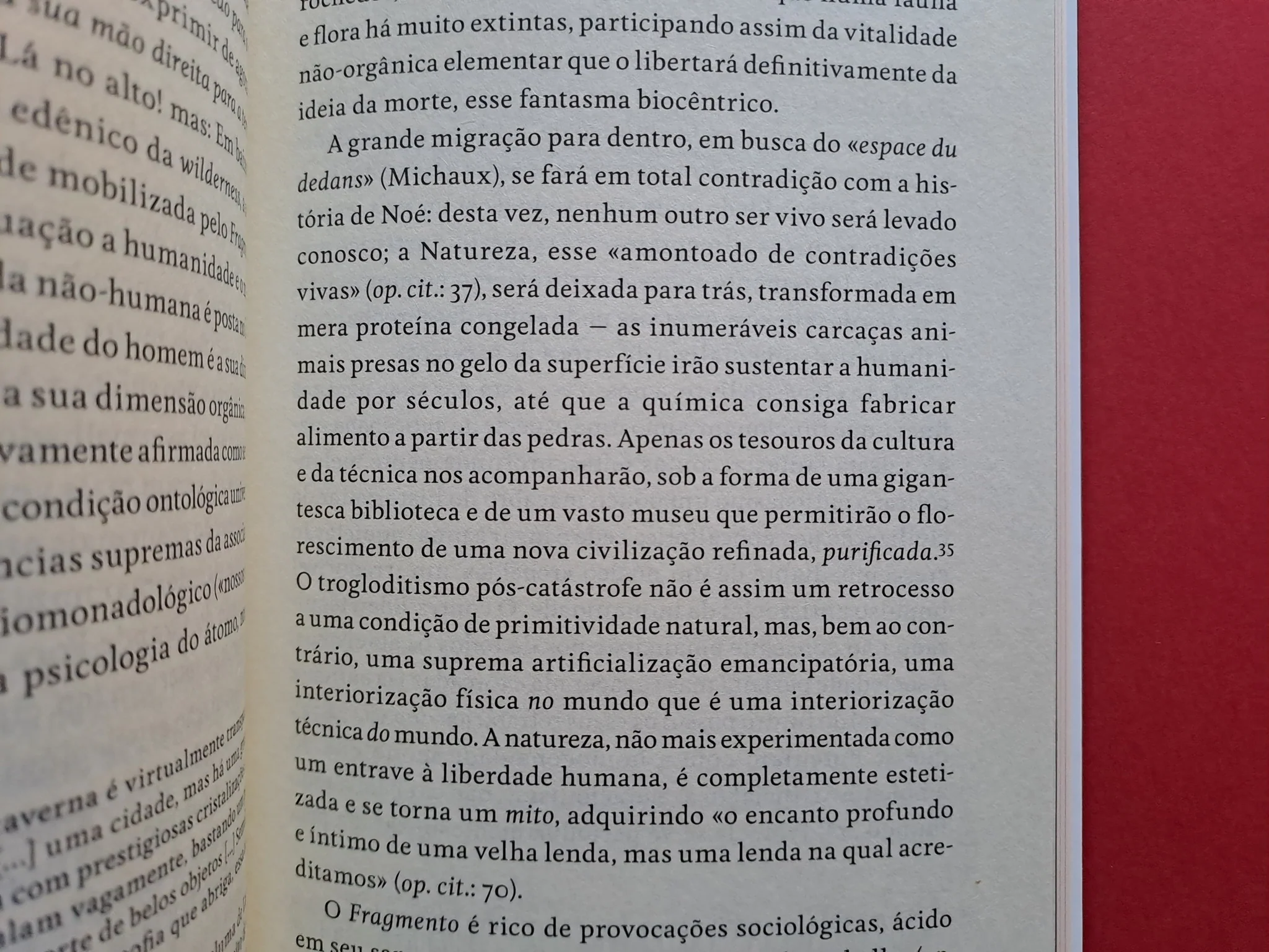 Imagem do produto 9