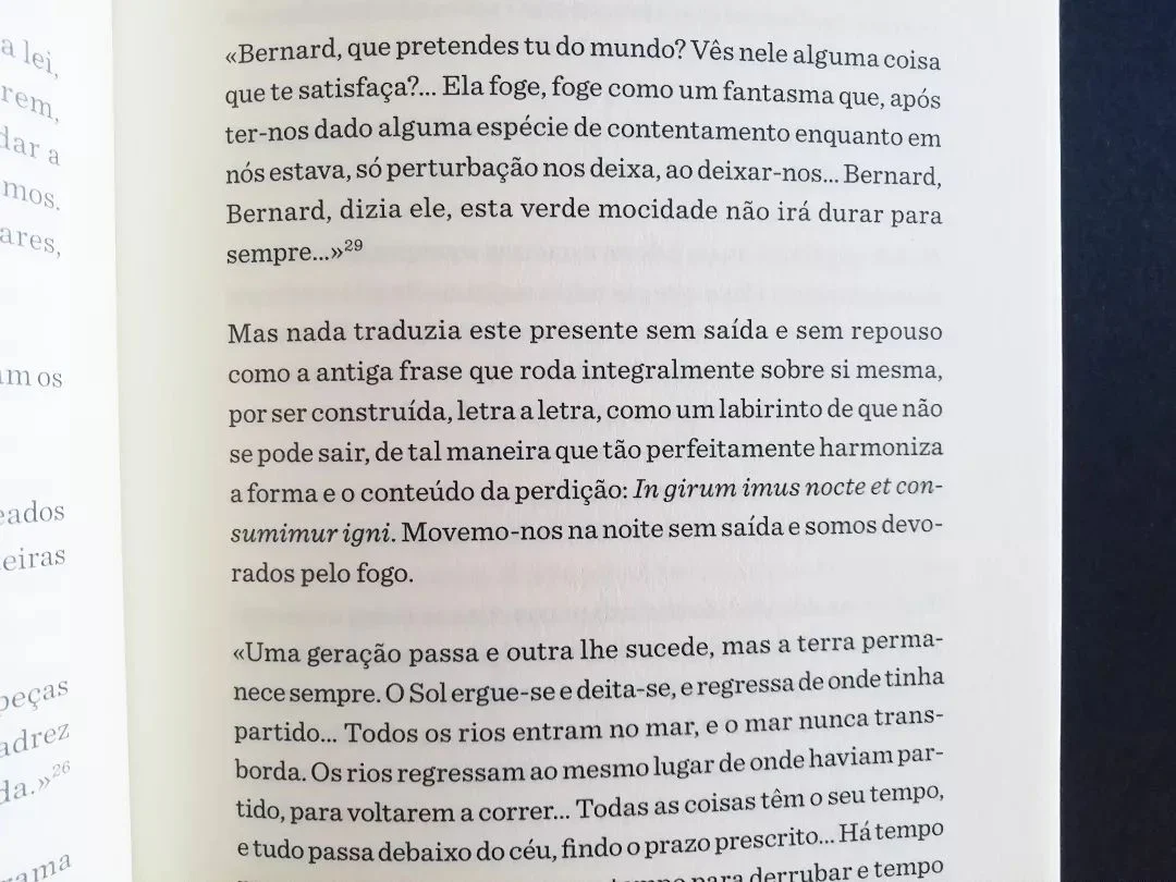 Imagem do produto 8