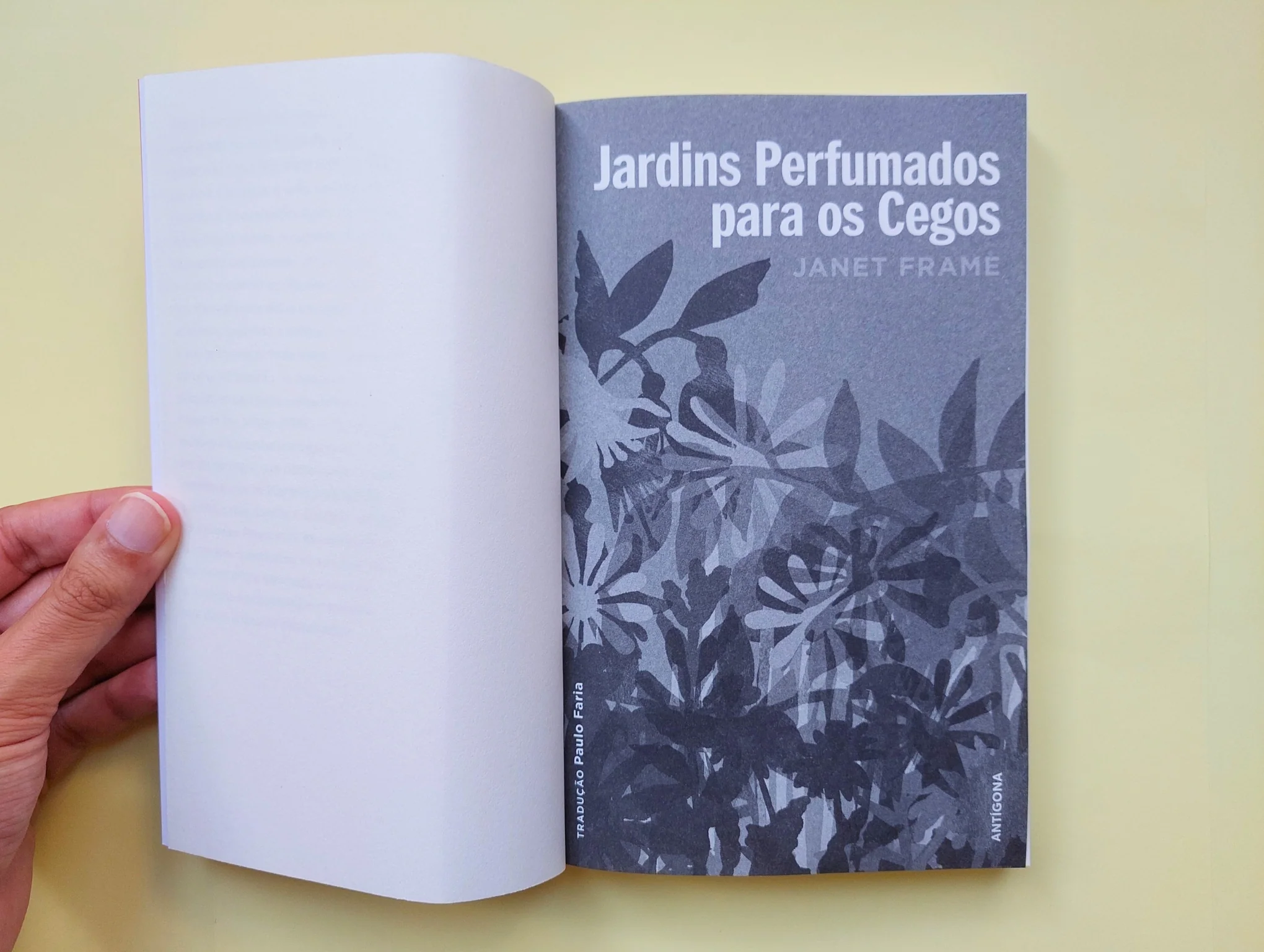 Imagem do produto 3