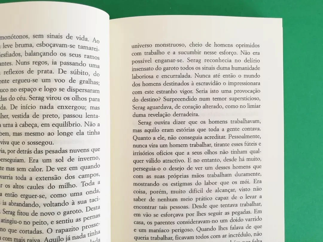 Imagem do produto 5