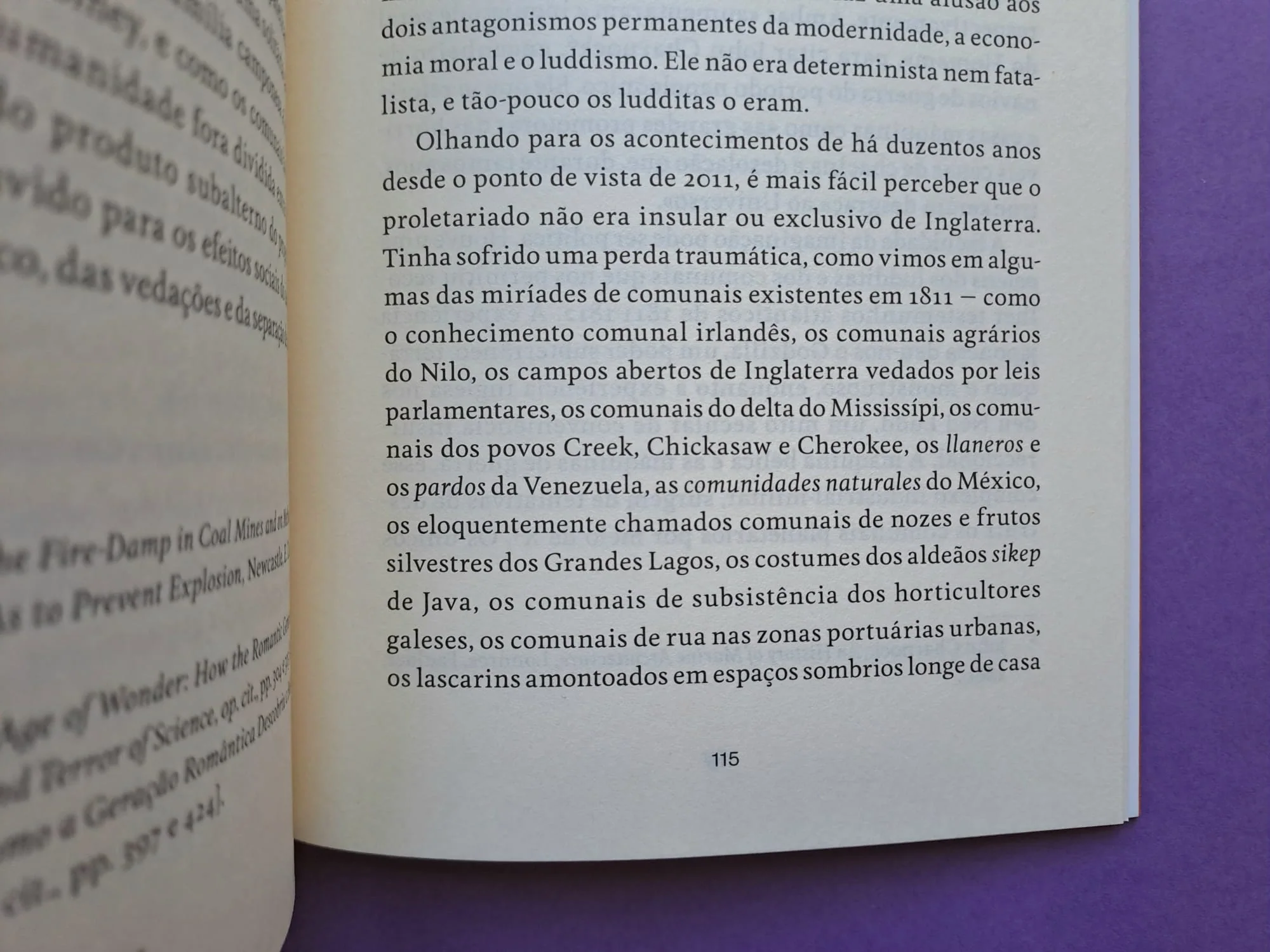 Imagem do produto 8