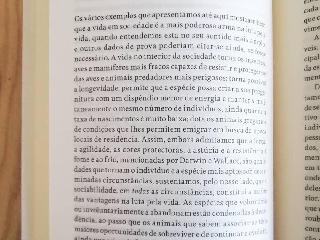 Imagem do produto 7