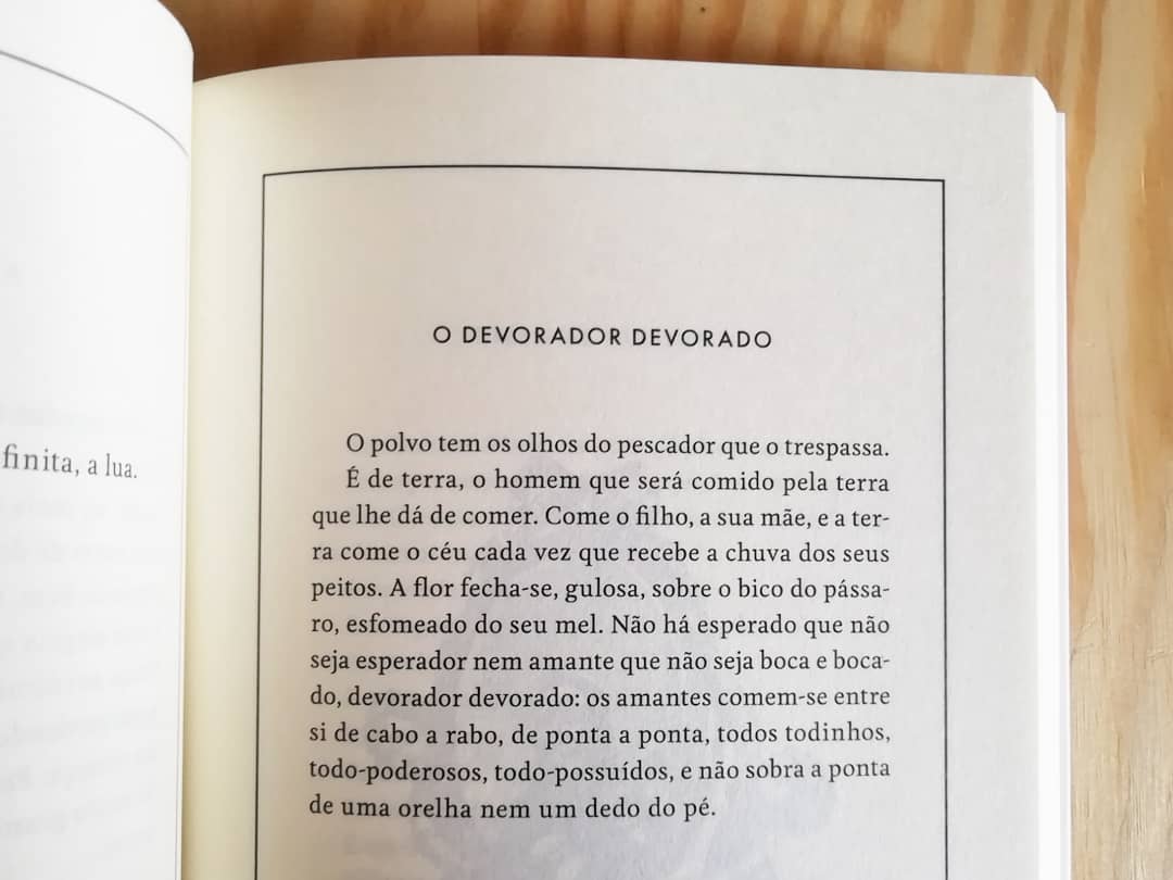 Imagem do produto 8