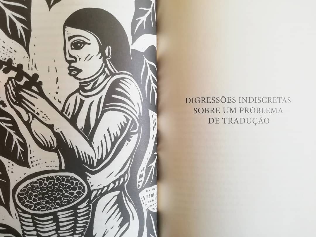 Imagem do produto 5