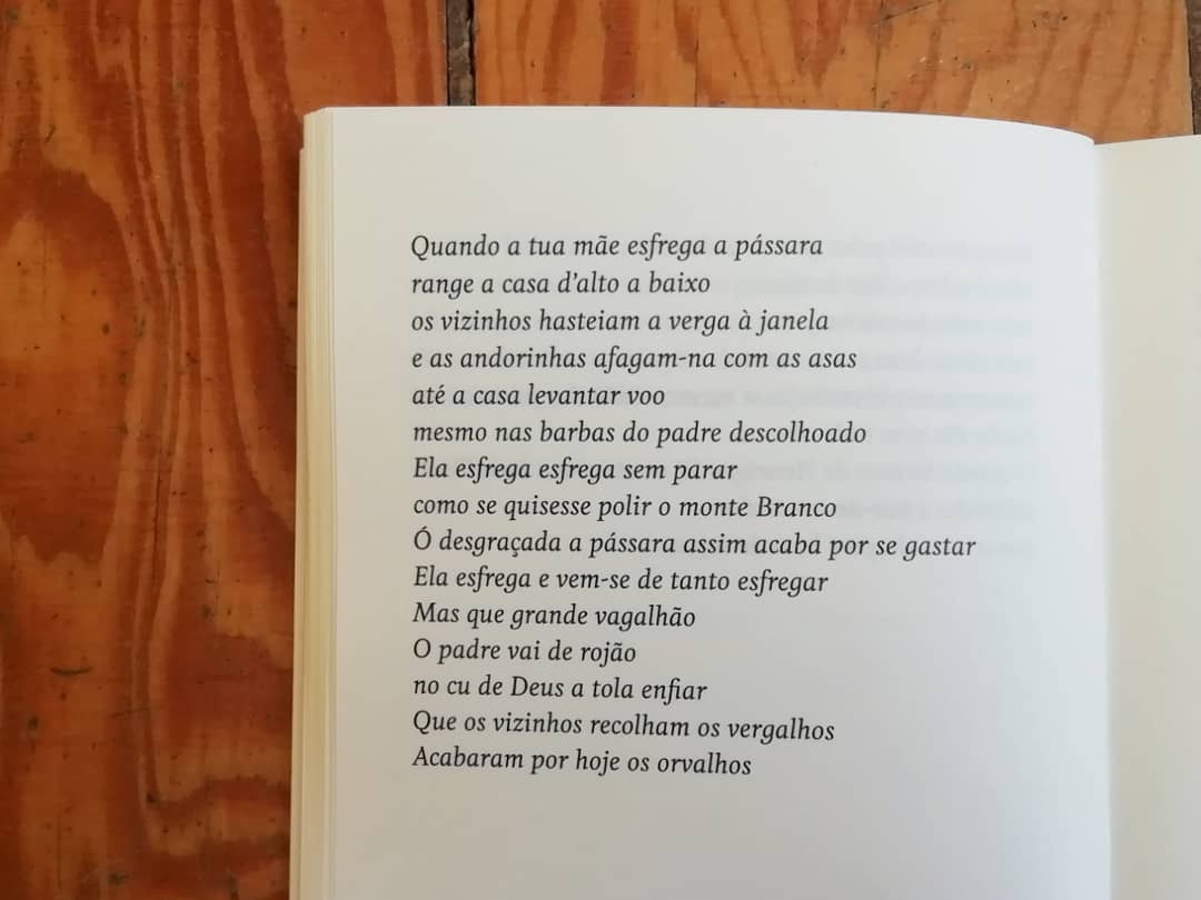 Imagem do produto 6