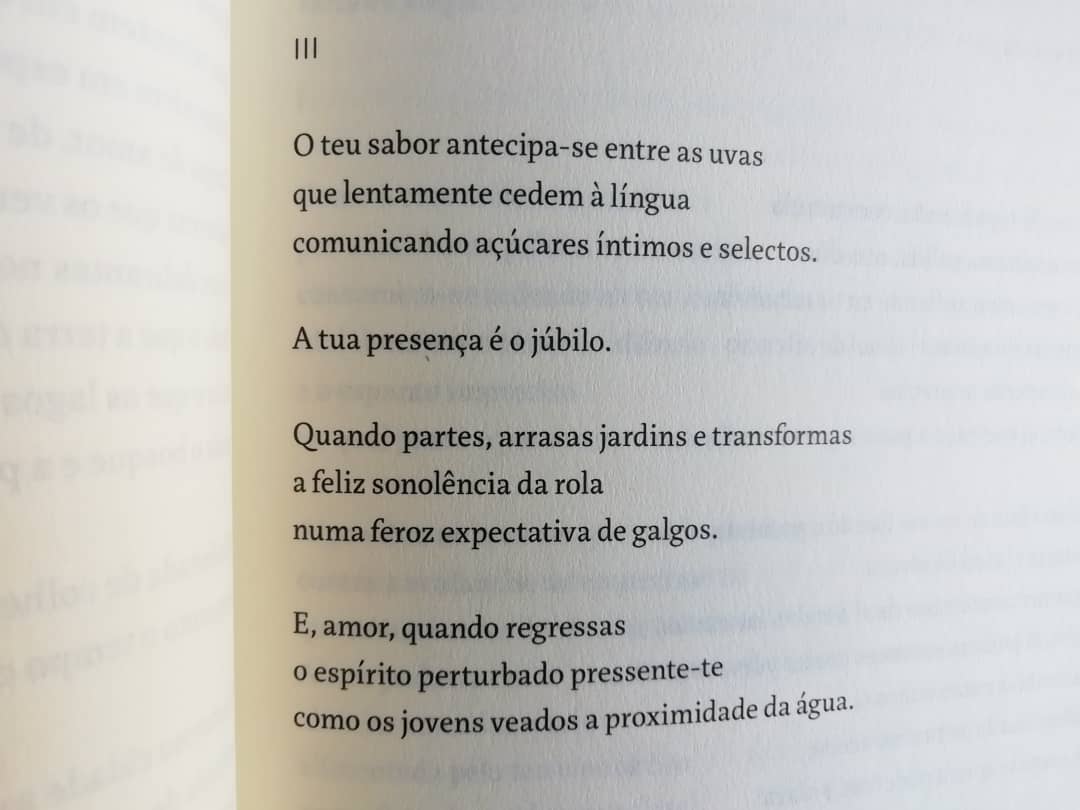 Imagem do produto 8