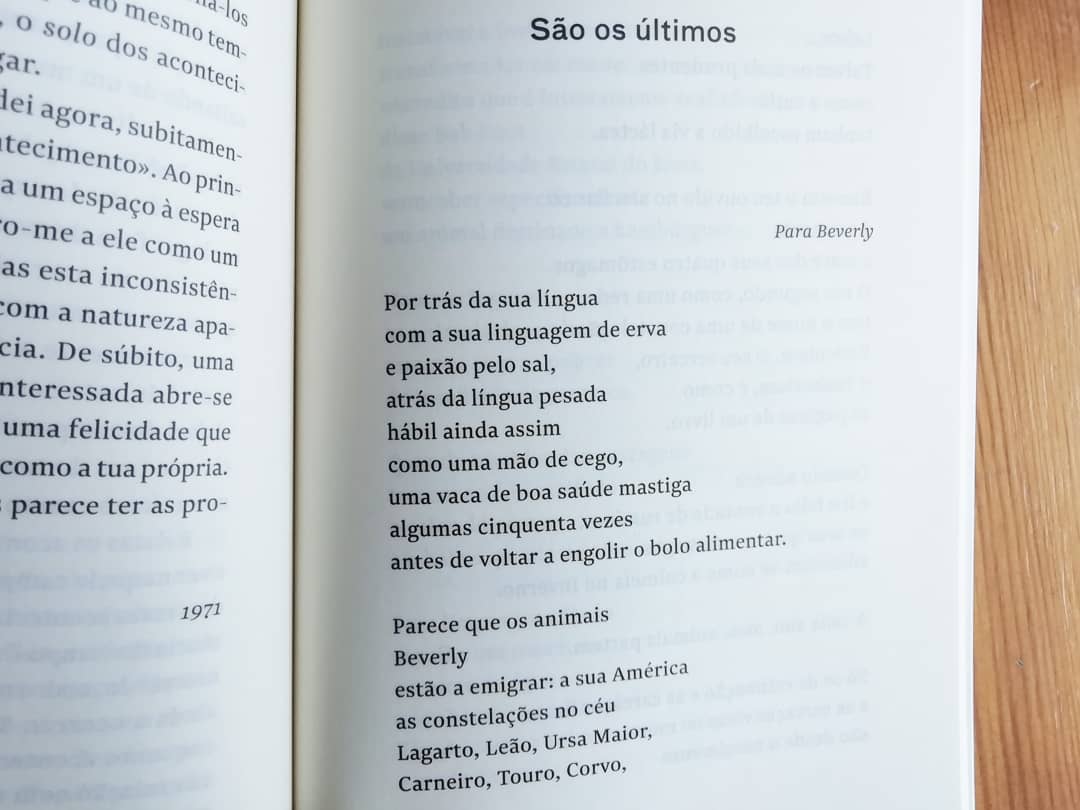 Imagem do produto 11