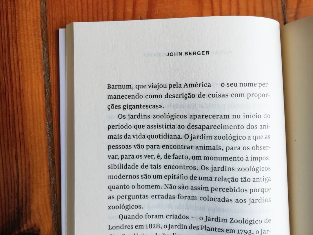 Imagem do produto 7