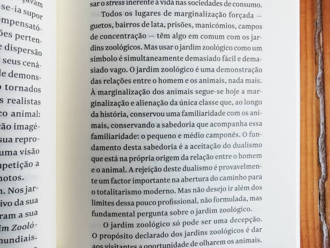 Imagem do produto 8